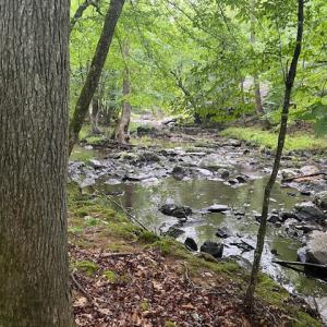 5500Hwy86Lot2_57842_10