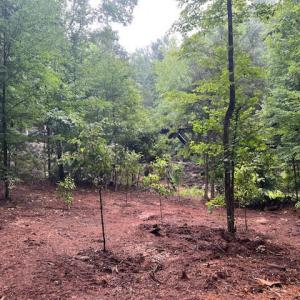 5500Hwy86Lot2_57842_15