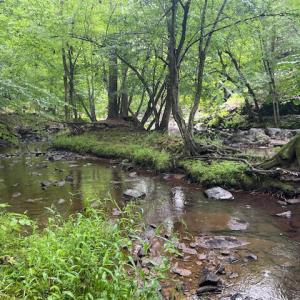 5500Hwy86Lot2_57842_1