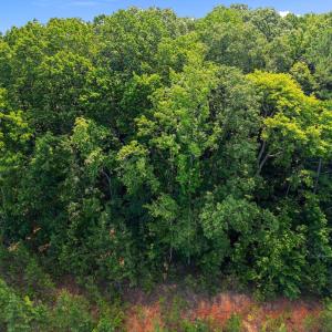 14-web-or-mls-Patmos_Way_14