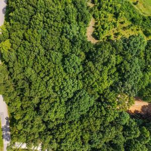 18-web-or-mls-Patmos_Way_18