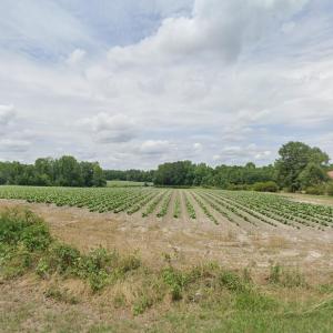 1050 Wagstaff Road
