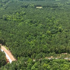 DJI_20250624123916_0113_D