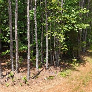 DJI_20250624122944_0101_D