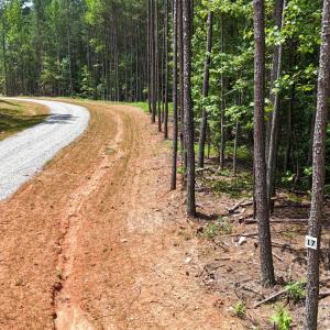 DJI_20250624122956_0102_D