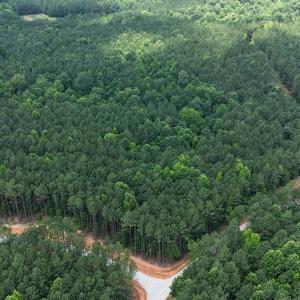 DJI_20250624123348_0106_D