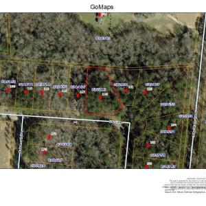 119 Ute_GIS Aerial