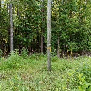 60' Easement