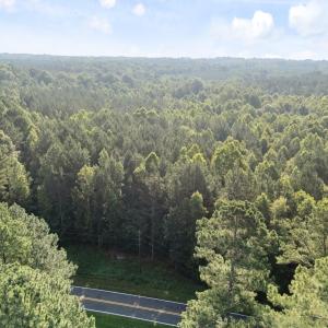Wooded Acreage