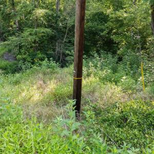Survey Mark on poles