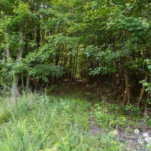 16-web-or-mls-DJI_20250630210443_0842_D