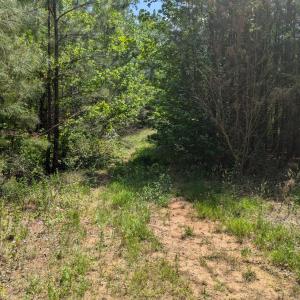 PXL_20250430_180507272