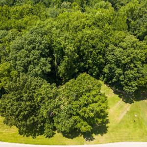 dji_0007-2-edit