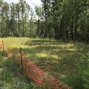 septic field