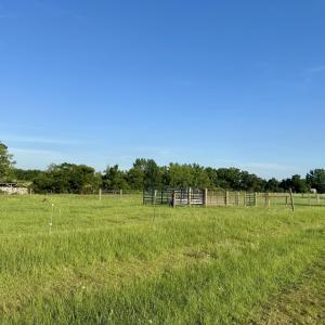 Baileys Crossroads