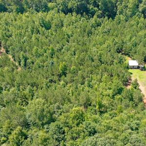 DJI_0183.00_08_32_17.Still005-2