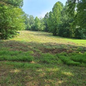 clean up to back line Jordan Lake land