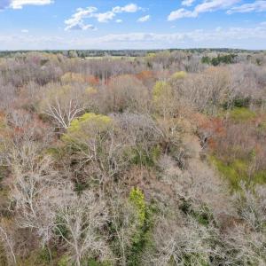 11-DJI_0966