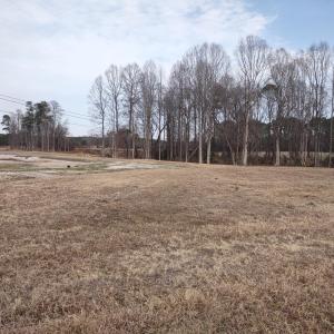Possible Homesite