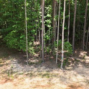 DJI_20250624121145_0098_D