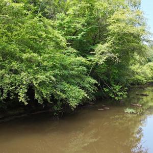 DJI_20250707111205_0120_D