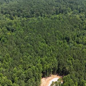 DJI_20250624120538_0088_D