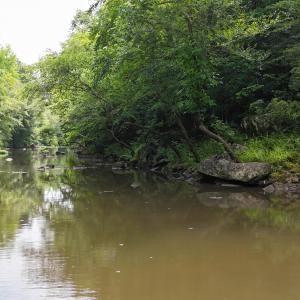 DJI_20250707111445_0126_D