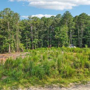 1-web-or-mls-Natchez Trce-S0907-001