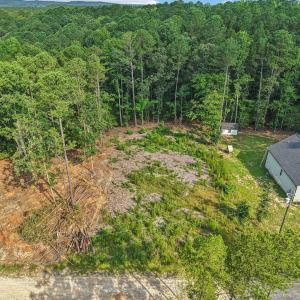 3-web-or-mls-Natchez Trce-S0907-003