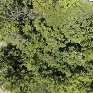 DJI_20250707120750_0156_D
