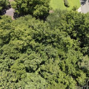 DJI_20250707120816_0157_D