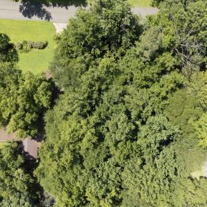 DJI_20250707120835_0158_D