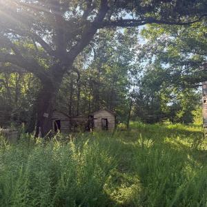 view from road, left side of uninhabitab