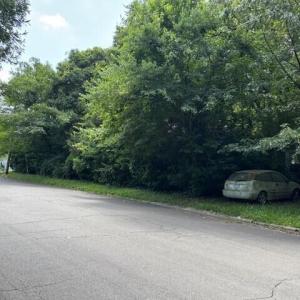3025 Farthing St. lot view