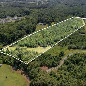 006_dji_20250709132209_0030_d-edit-edit_