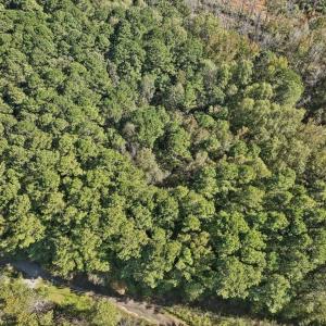 12-012-KarenCalhounRd-Chatham-Parcel-295