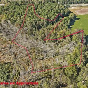 01-001-KarenCalhounRd-Chatham-Parcel-295