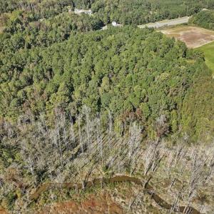 05-005-KarenCalhounRd-Chatham-Parcel-295