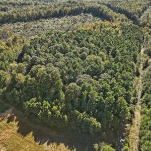 10-010-KarenCalhounRd-Chatham-Parcel-295