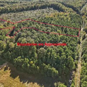 09-009-KarenCalhounRd-Chatham-Parcel-295