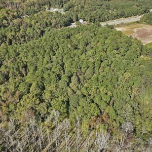 15-015-KarenCalhounRd-Chatham-Parcel-295