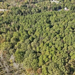 21-021-KarenCalhounRd-Chatham-Parcel-295