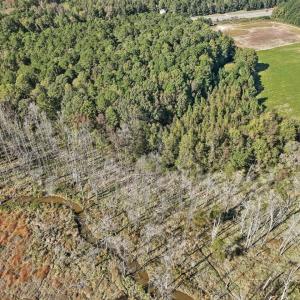 04-004-KarenCalhounRd-Chatham-Parcel-295