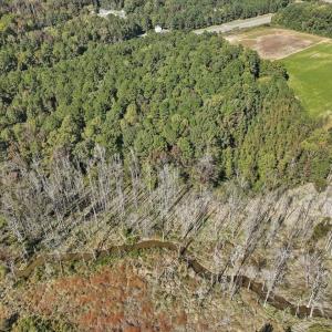 18-018-KarenCalhounRd-Chatham-Parcel-295