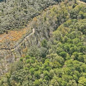 07-007-KarenCalhounRd-Chatham-Parcel-729