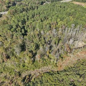 05-005-KarenCalhounRd-Chatham-Parcel-729