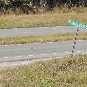 11-011-KarenCalhounRd-Chatham-Parcel-729