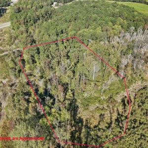 03-003-KarenCalhounRd-Chatham-Parcel-729