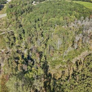 04-004-KarenCalhounRd-Chatham-Parcel-729