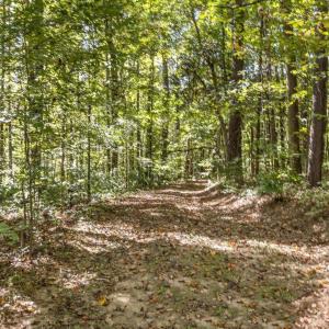 24-024-KarenCalhounRd-Chatham-Parcel-295